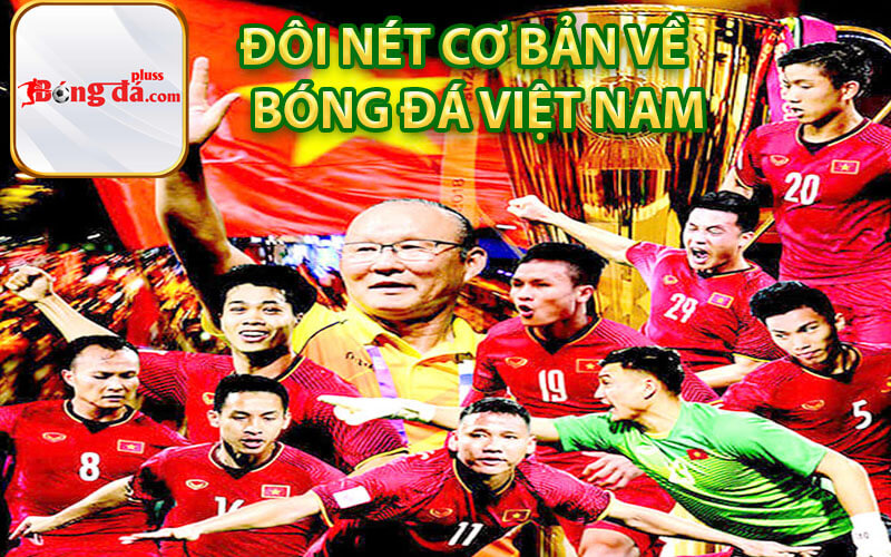 Đôi nét cơ bản về Bóng đá Việt Nam
