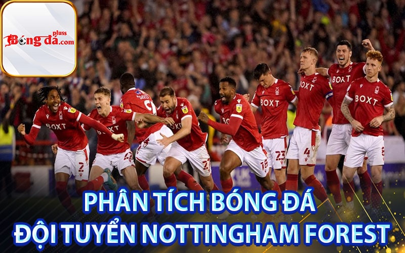 Phân tích bóng đá đội tuyển Nottingham Forest