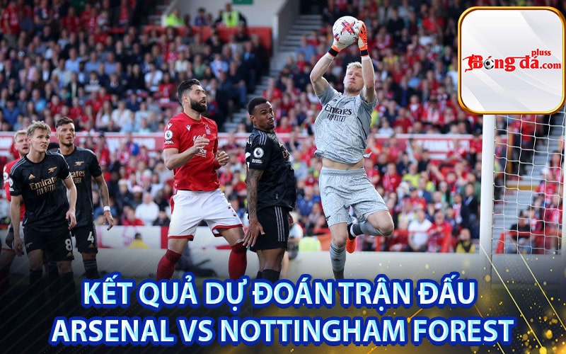 Kết quả dự đoán trận đấu Arsenal vs Nottingham Forest