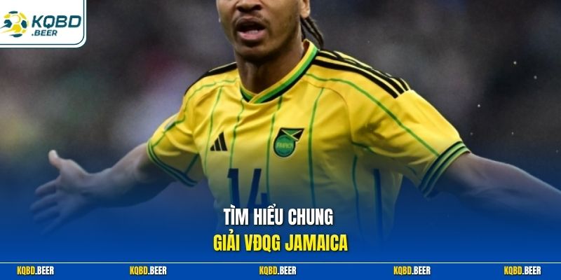 Tìm hiểu chung giải VĐQG Jamaica 